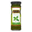 Mirch Masala Mint Chutney 220 gm Supply